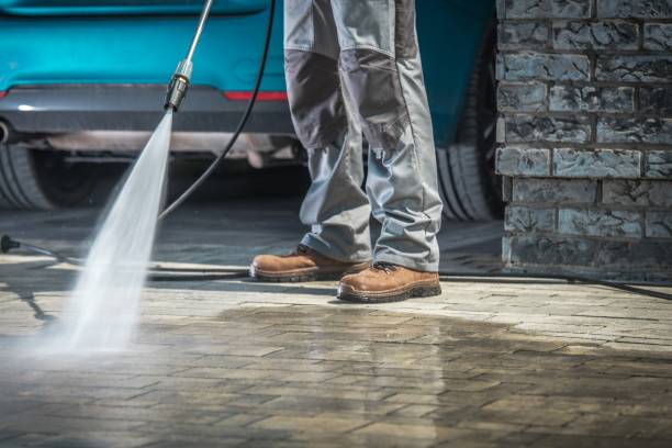 Best Graffiti Removal  in Jonesville, MI