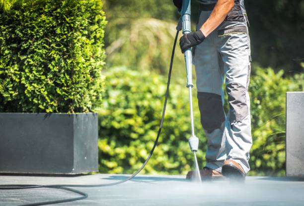 Best Parking Lot and Garage Cleaning  in Jonesville, MI