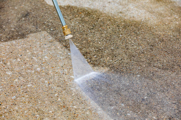 Best Warehouse Cleaning  in Jonesville, MI