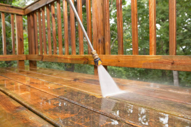 Best Driveway Pressure Washing  in Jonesville, MI