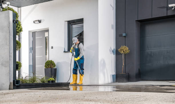 Best Animal Enclosure Cleaning  in Jonesville, MI